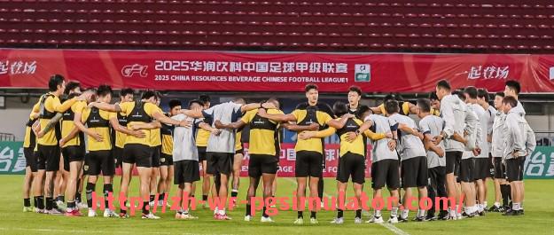 PG电子在线试玩入口-法甲顶级球员技术特点及战术贡献分析