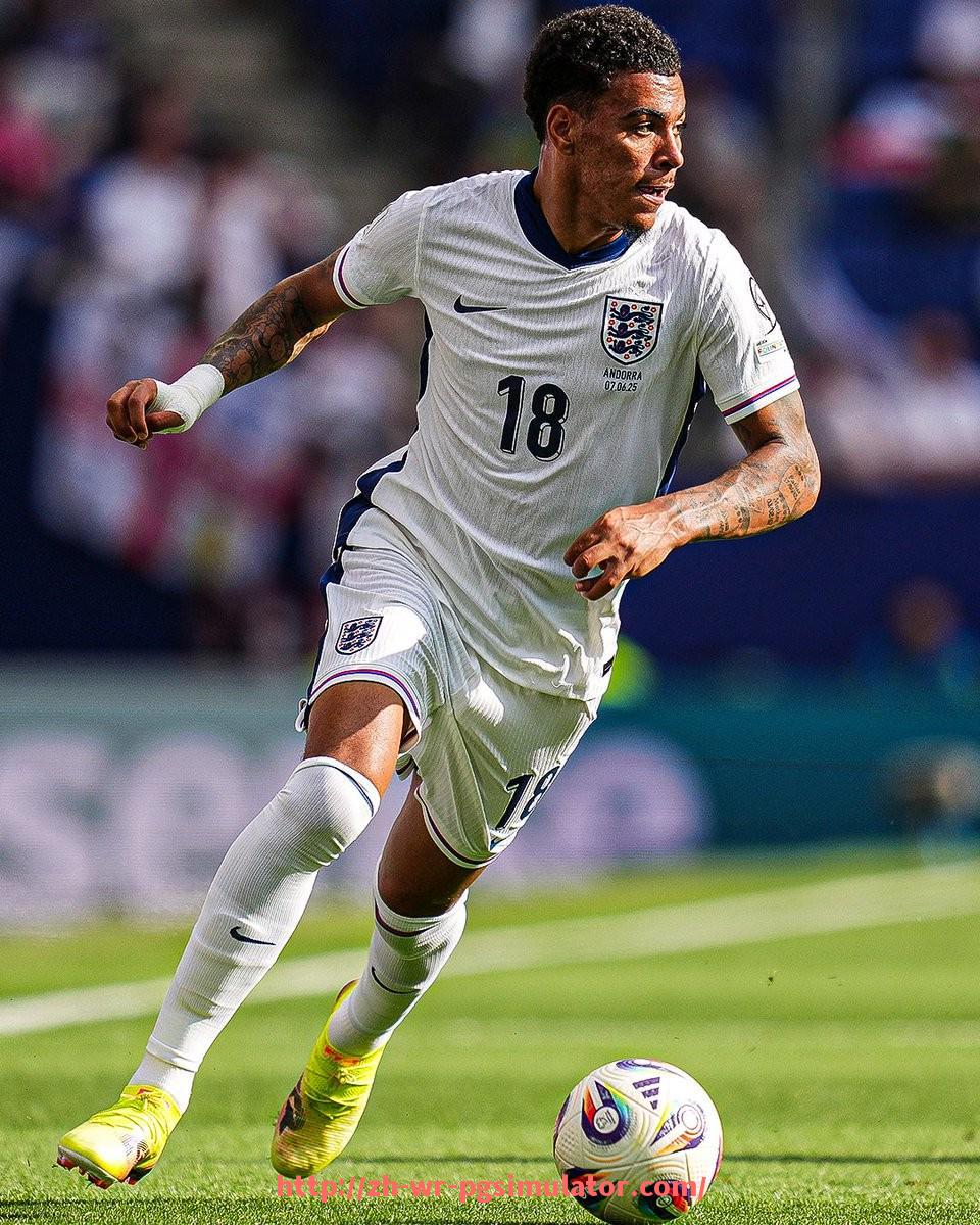 PG电子在线试玩入口-美国火箭队詹姆斯·哈登的详细资料介绍